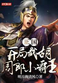 三国：开局截胡周郎小霸王